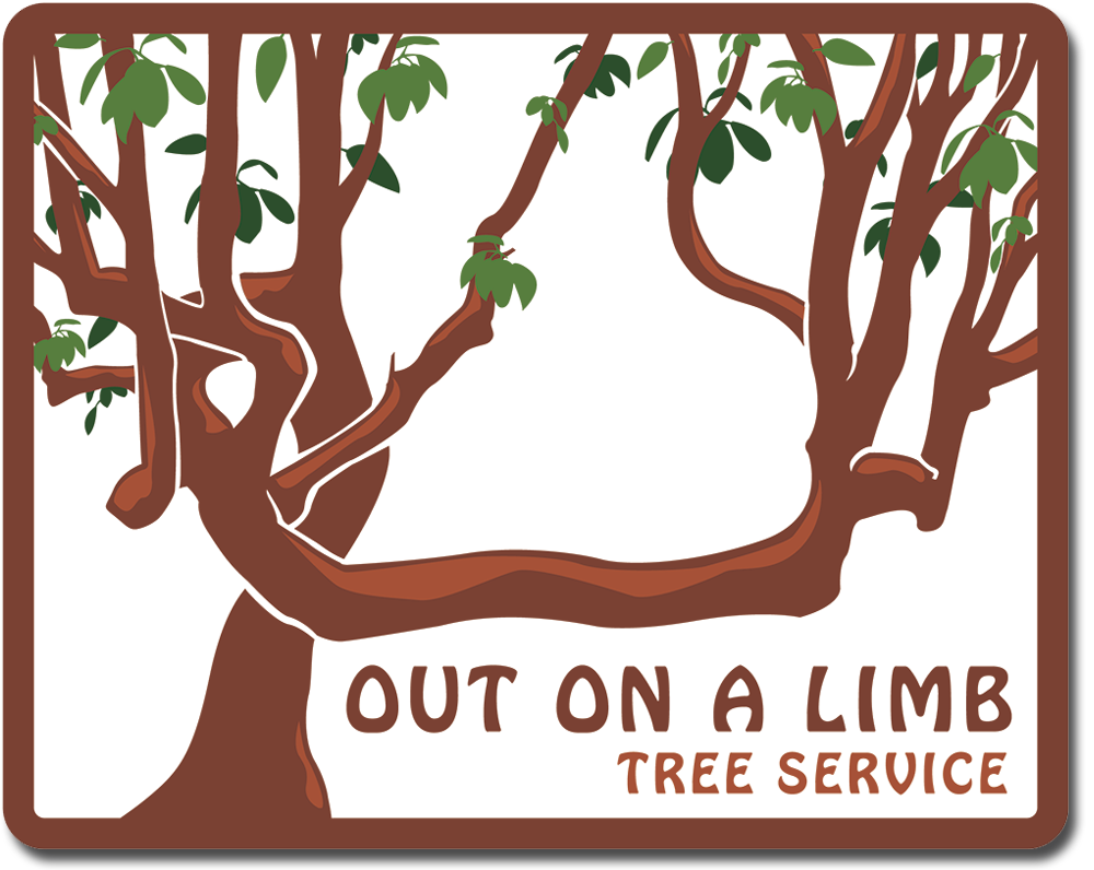 Out on a limb tree service